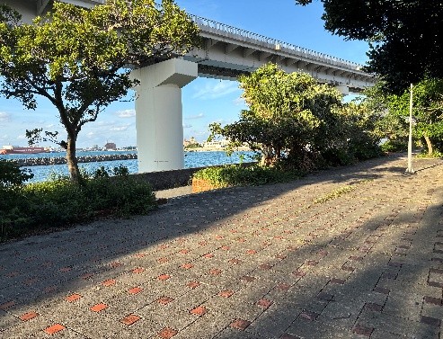 近隣公園・散歩道