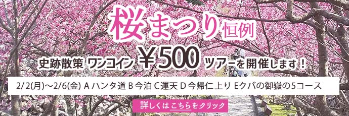 沖縄県 今帰仁村 桜まつり 今帰仁城跡の周辺史跡のワンコインツアー