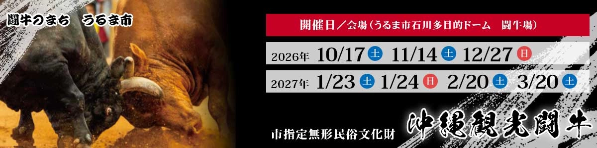 【2026下期】観光闘牛