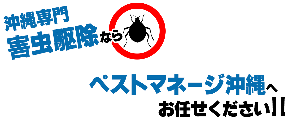 沖縄専門害虫駆除ならペストマネージ沖縄へお任せください！！