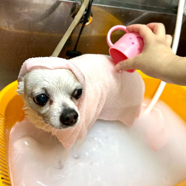 保湿トリートメント（温浴）のイメージ画像