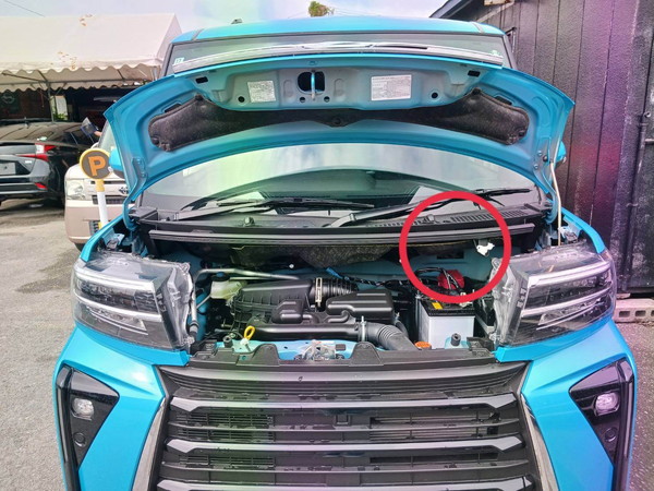 ボンネット写真