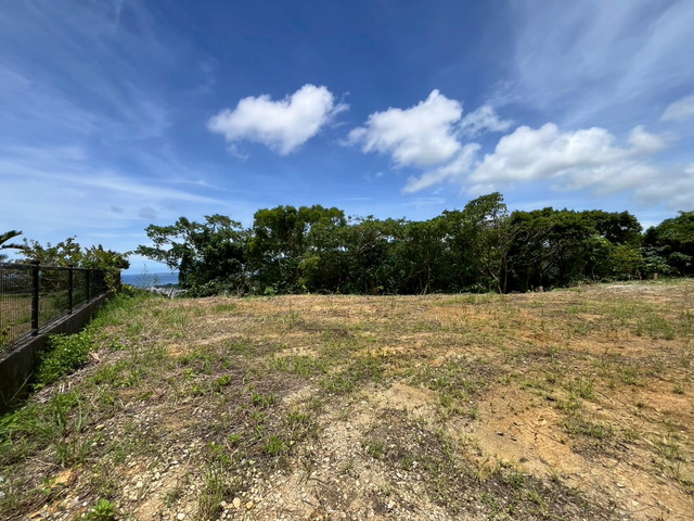 本部町伊野波土地①