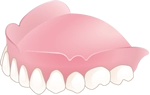 上歯茎のイラスト