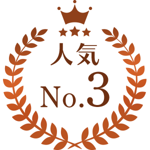 人気ランキング3位
