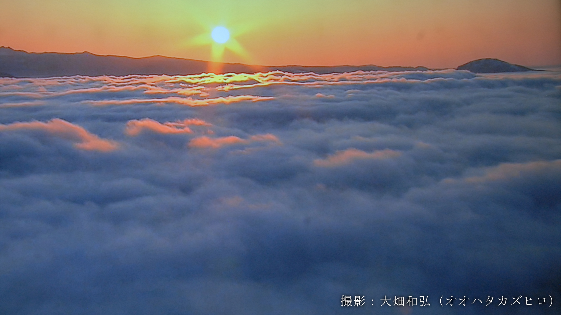 損害保険、生命保険、医療保険、自動車保険、バイク保険、海外旅行保険、火災保険、地震保険など各種保険のことなら和歌山県和歌山市の保険代理店「北の新地サービス」へお任せください。