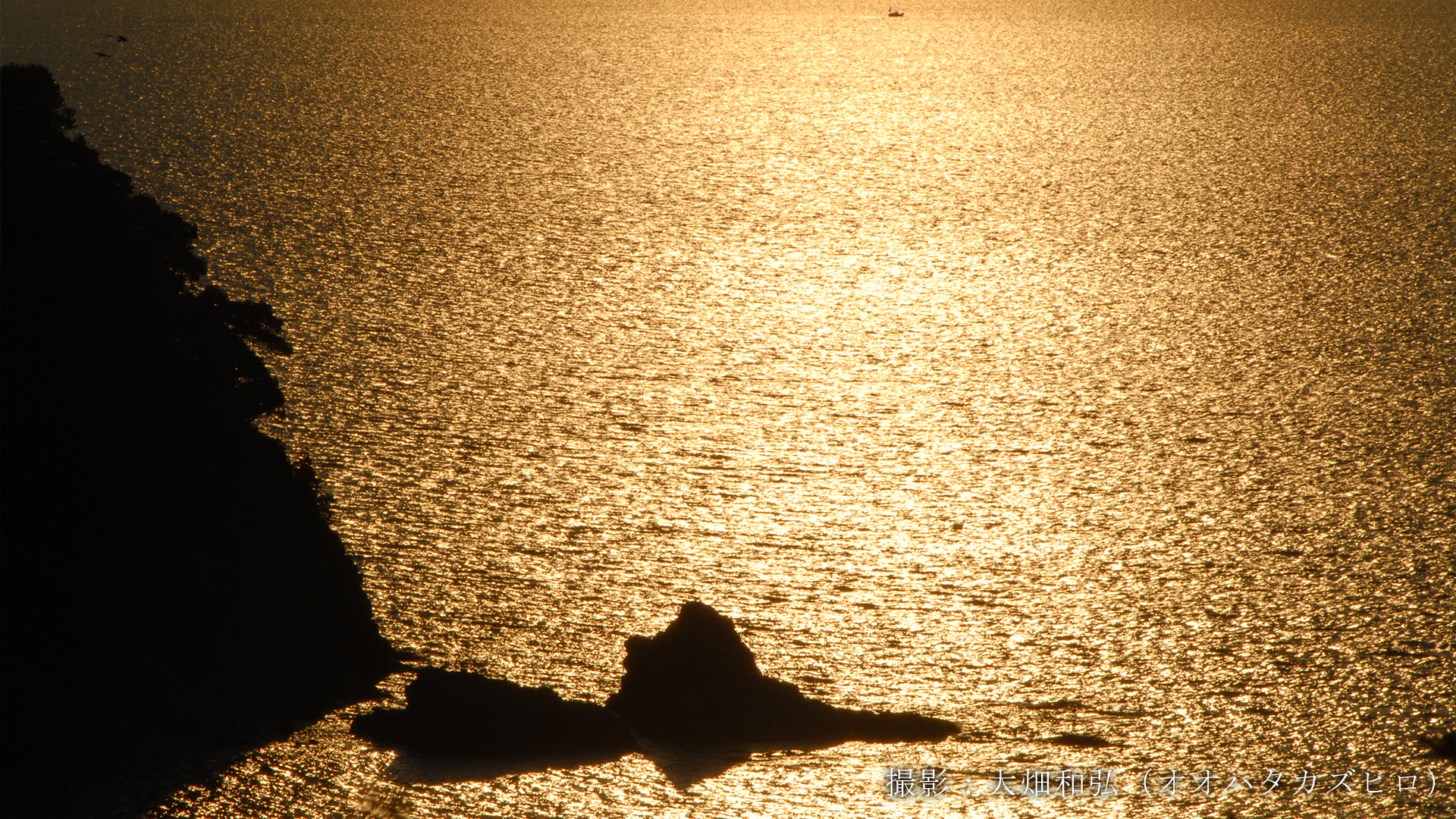 損害保険、生命保険、医療保険、自動車保険、バイク保険、海外旅行保険、火災保険、地震保険など各種保険のことなら和歌山県和歌山市の保険代理店「北の新地サービス」へお任せください。