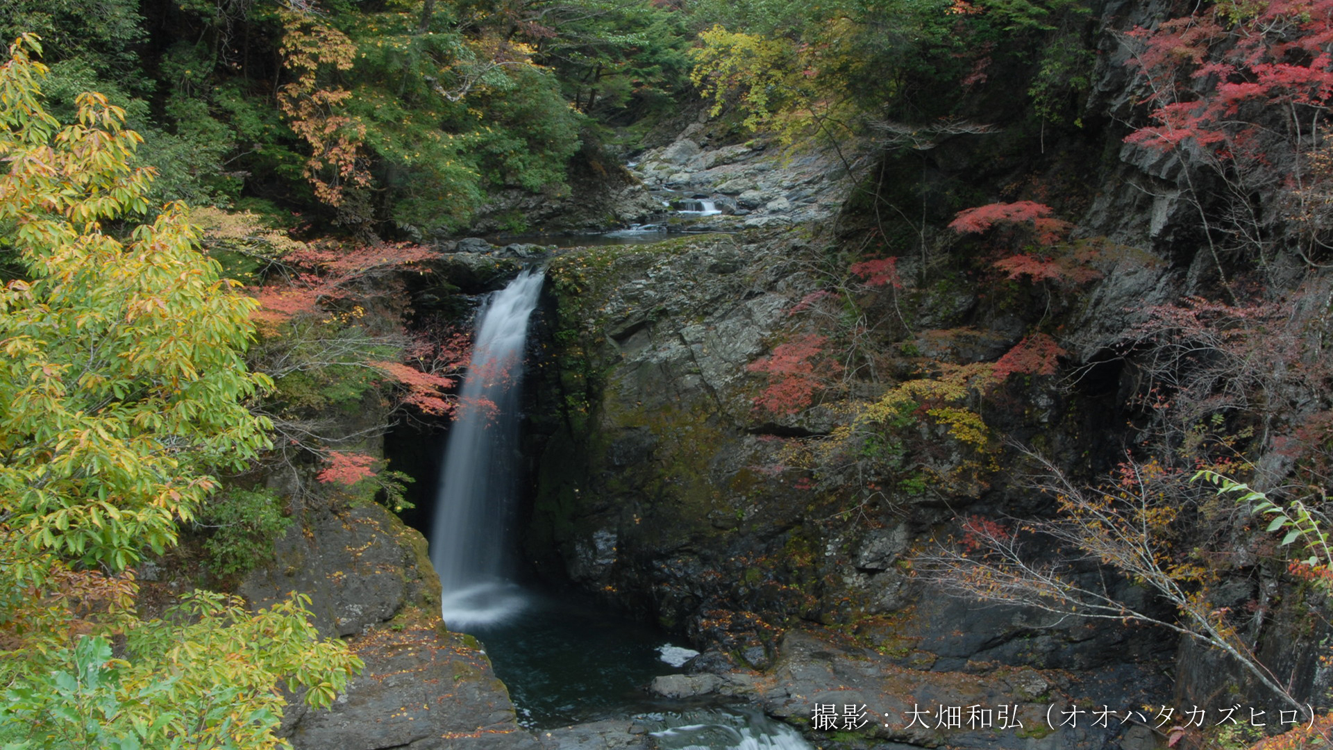 損害保険、生命保険、医療保険、自動車保険、バイク保険、海外旅行保険、火災保険、地震保険など各種保険のことなら和歌山県和歌山市の保険代理店「北の新地サービス」へお任せください。