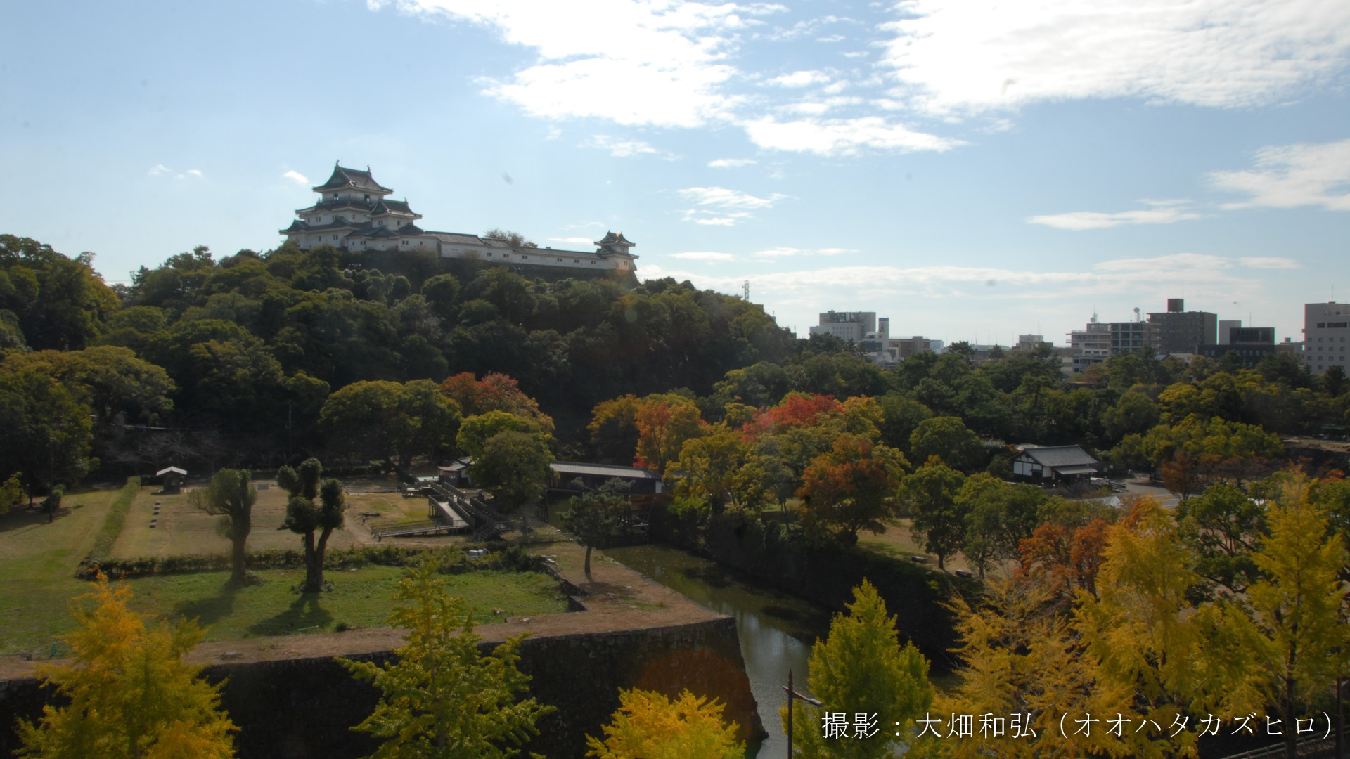 損害保険、生命保険、医療保険、自動車保険、バイク保険、海外旅行保険、火災保険、地震保険など各種保険のことなら和歌山県和歌山市の保険代理店「北の新地サービス」へお任せください。
