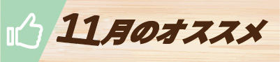 今月のおすすめ
