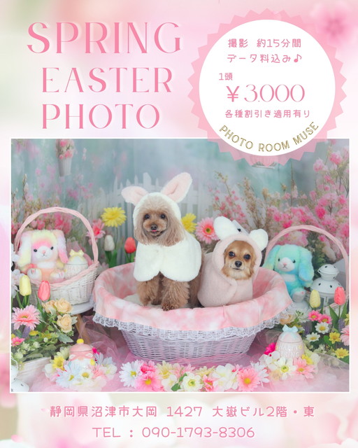 イースターブース撮影会