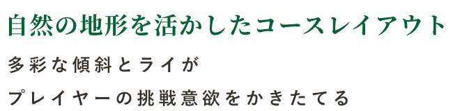 多彩な傾斜とライがプレイヤーの挑戦意欲をかきたてる