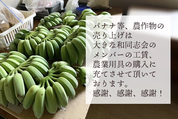 バナナ等、農作物の売り上げは大きな和同志会のメンバーの工賃、農業用具の購入に充てさせていただいております。感謝、感謝、感謝！