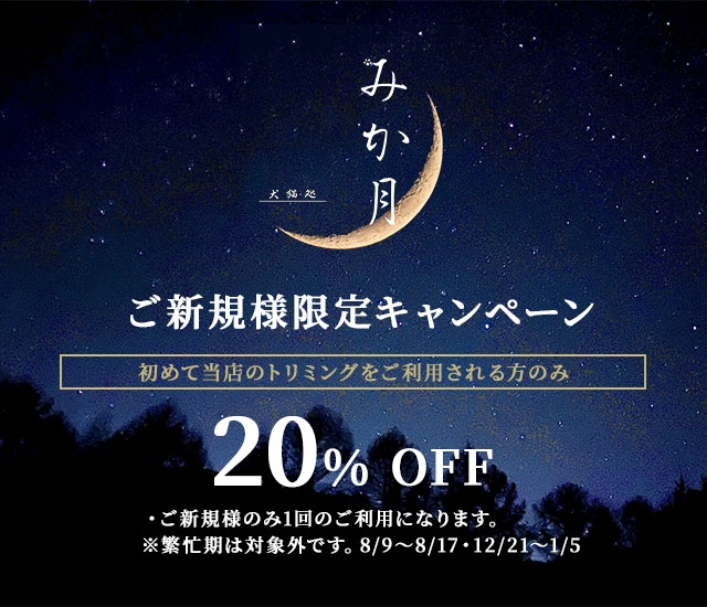 ご新規様限定キャンペーン