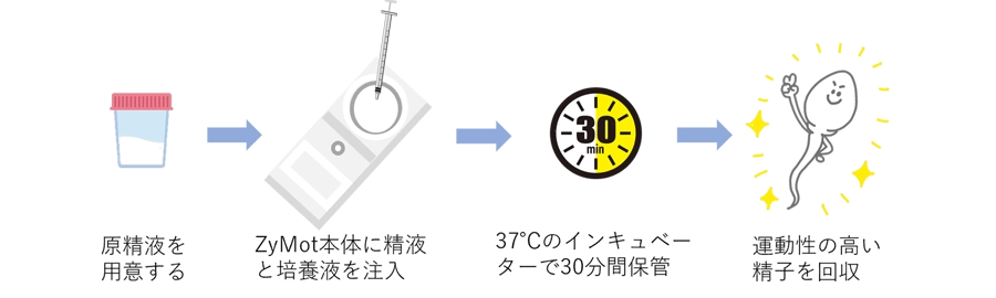 膜構造を用いた生理的精子選択術