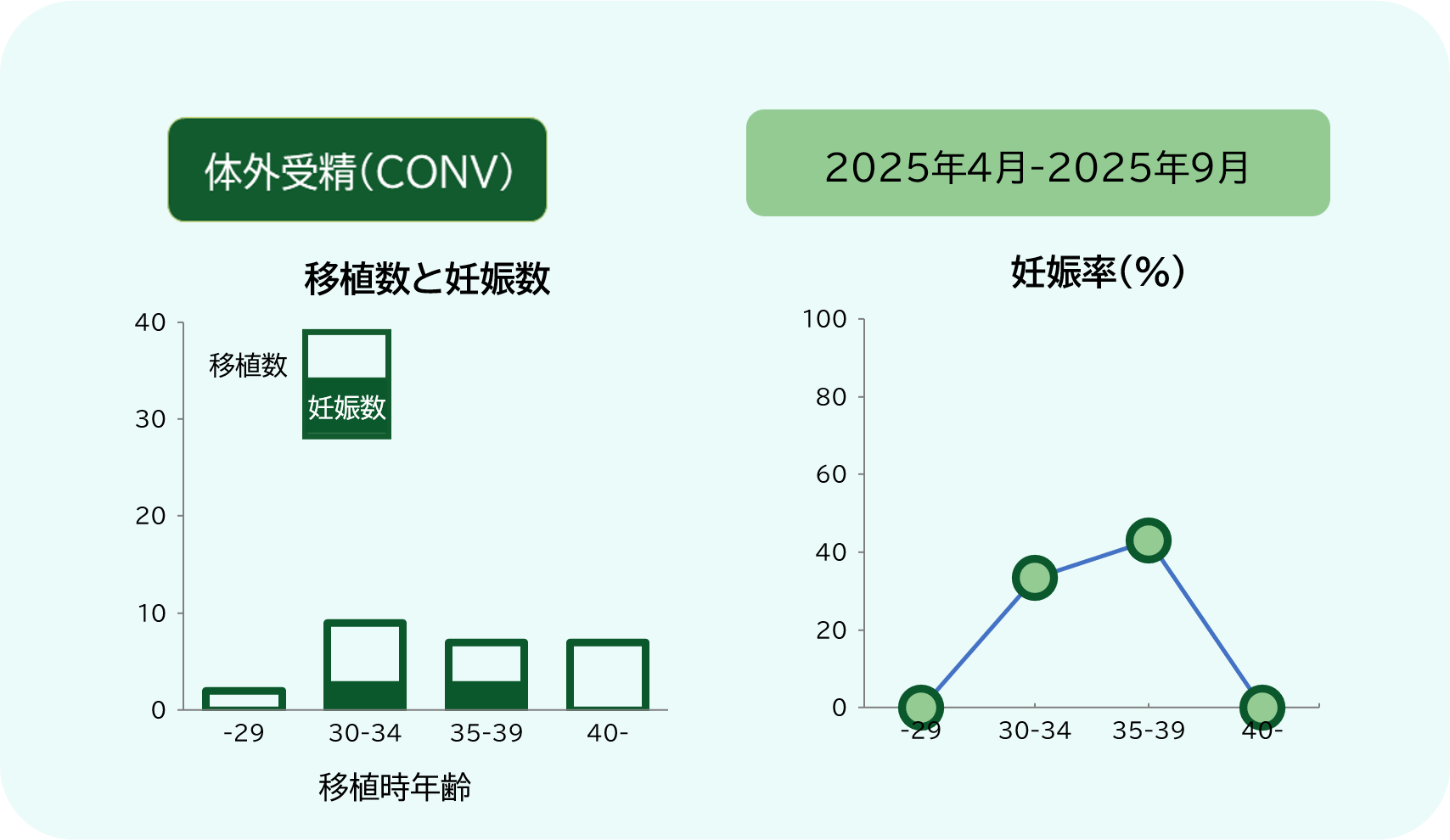 不妊治療成績（体外受精）