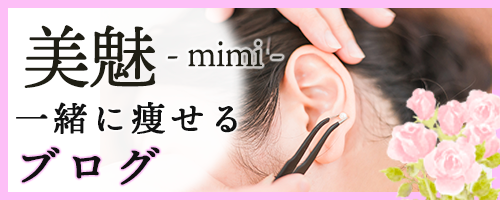 魅と一緒に痩せるブログ