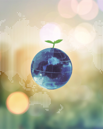 海外販路開拓実務並びに海外進出コンサルティング