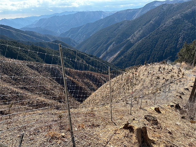 金網獣害防止柵設置工