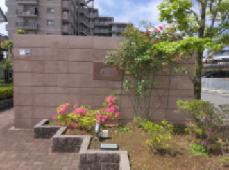 ベルドゥムール鎌ヶ谷初富