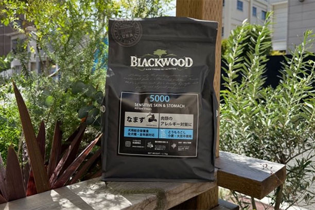 ブラックウッド