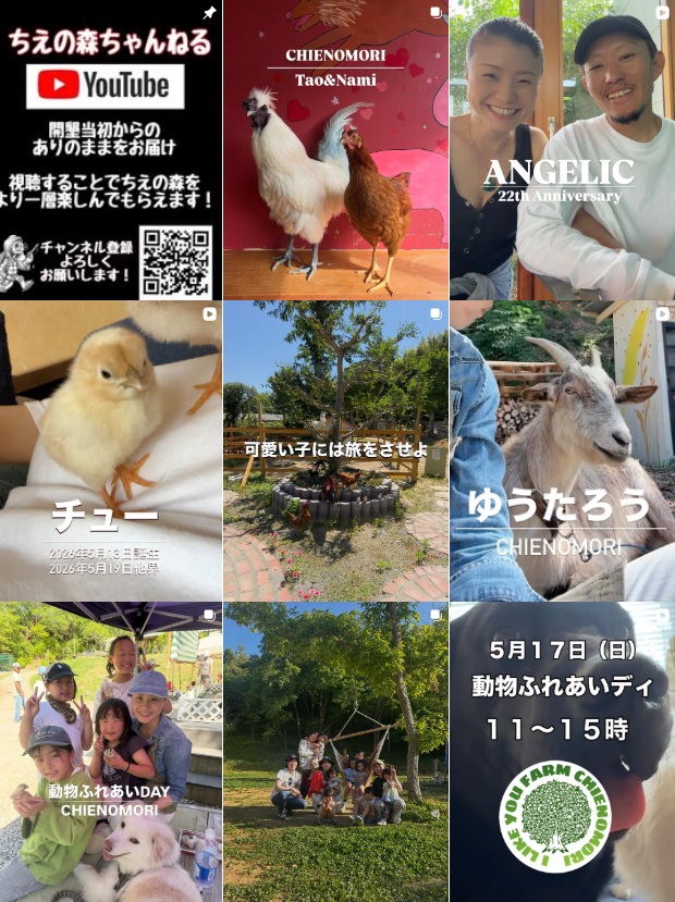 Instagram