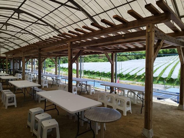 特大パーゴラ！