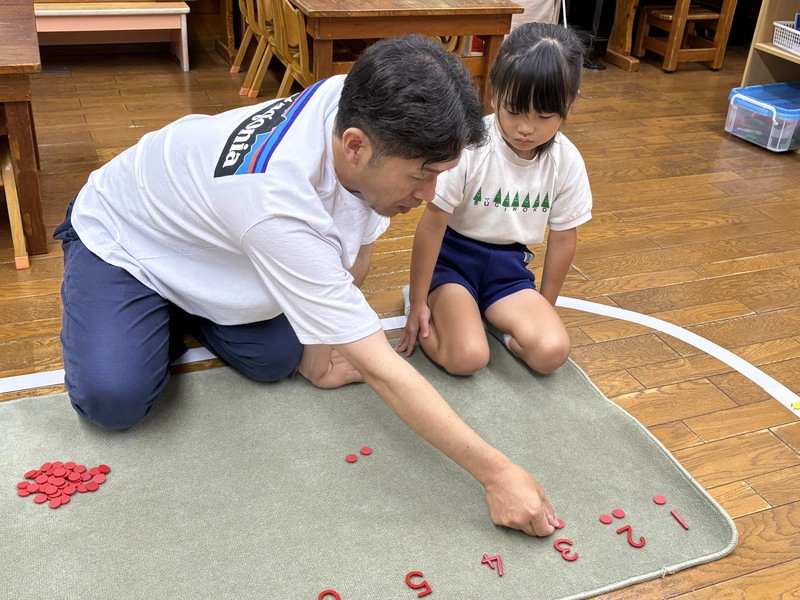 園の概要