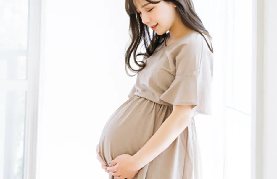 妊娠中期（安定期）