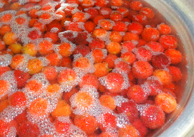 02 加工品の開発