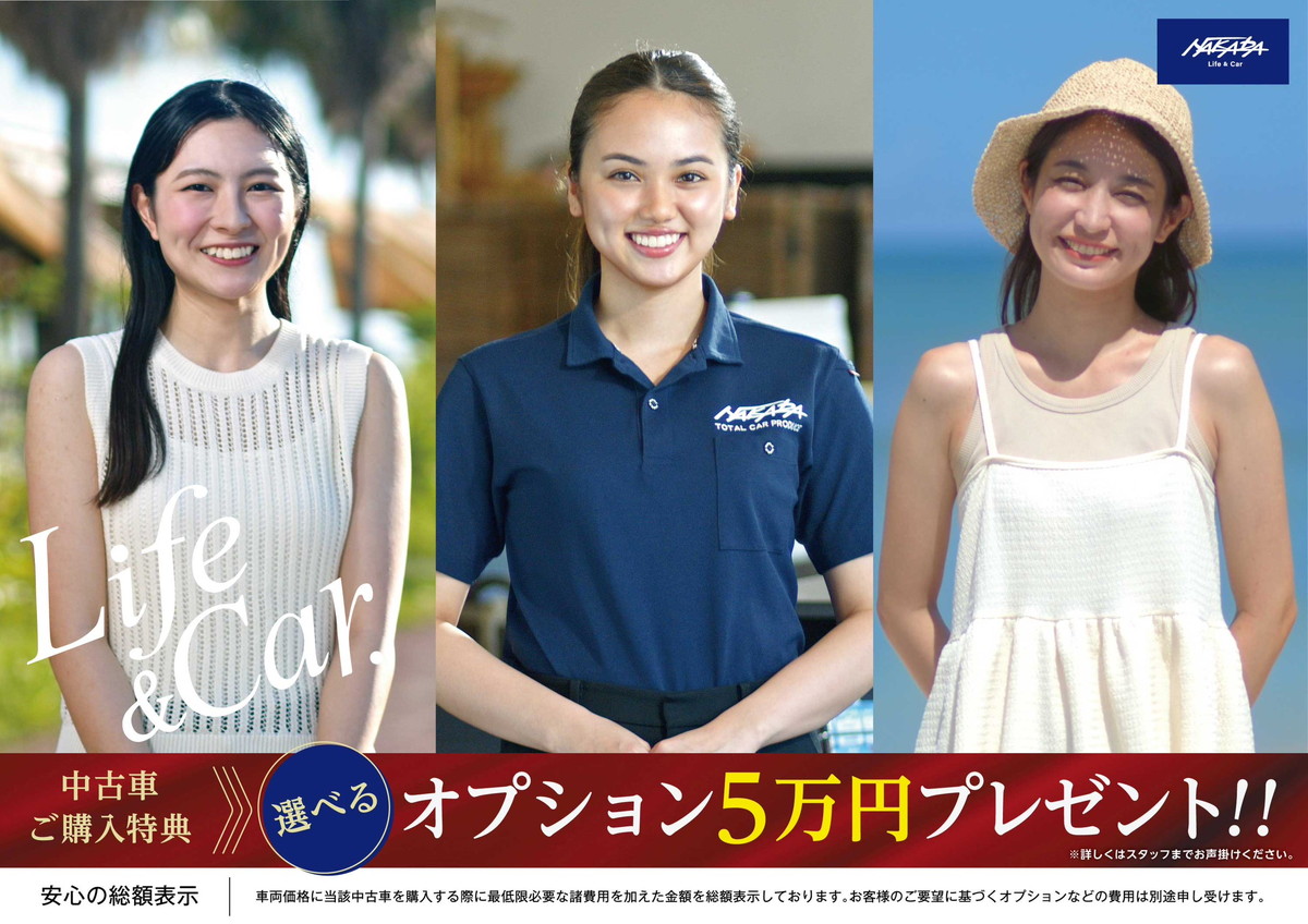 オプション5万円