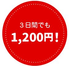 2日目の料金がなんと300円!