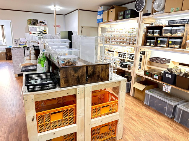 なかよし生活介護「なかよしメダカくわかぶ部」