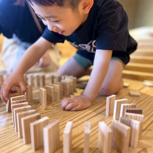 みなまたドミノ