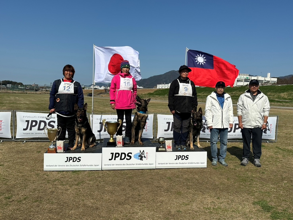 ACHIEVEMENTS イメージ