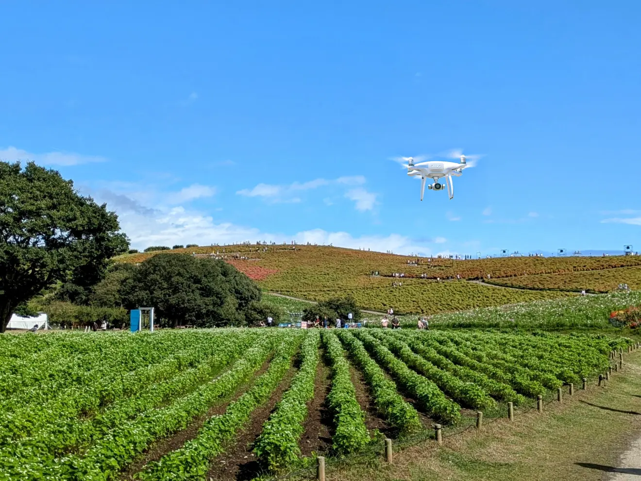 ドローンディフェンス株式会社