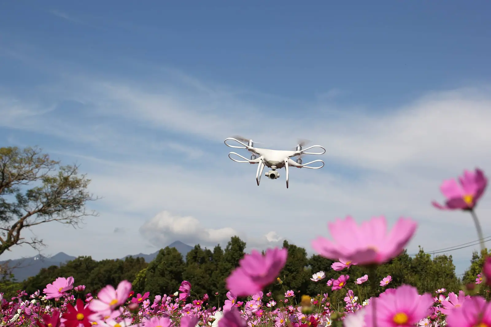 ドローンディフェンス株式会社