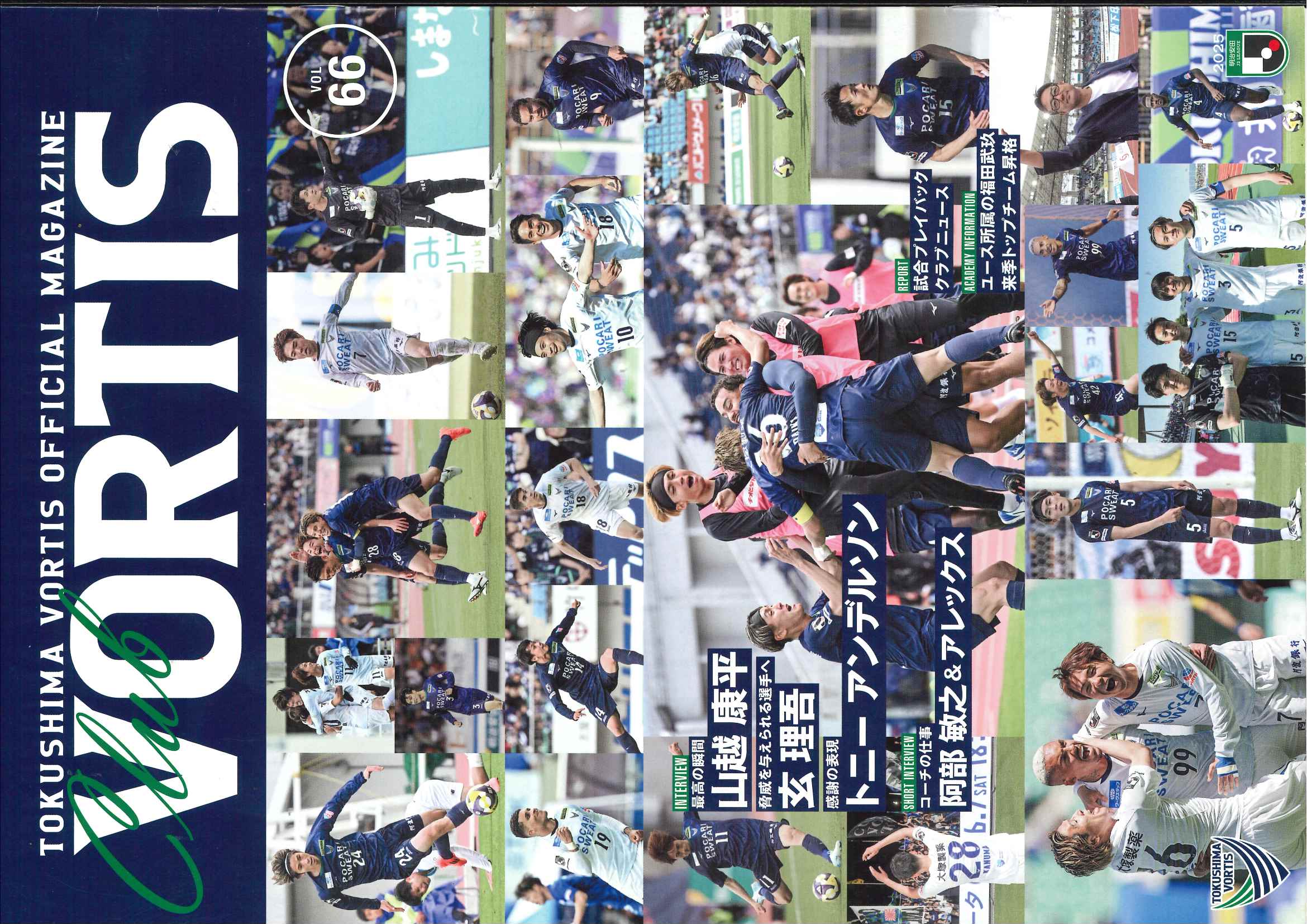 徳島ボルティス