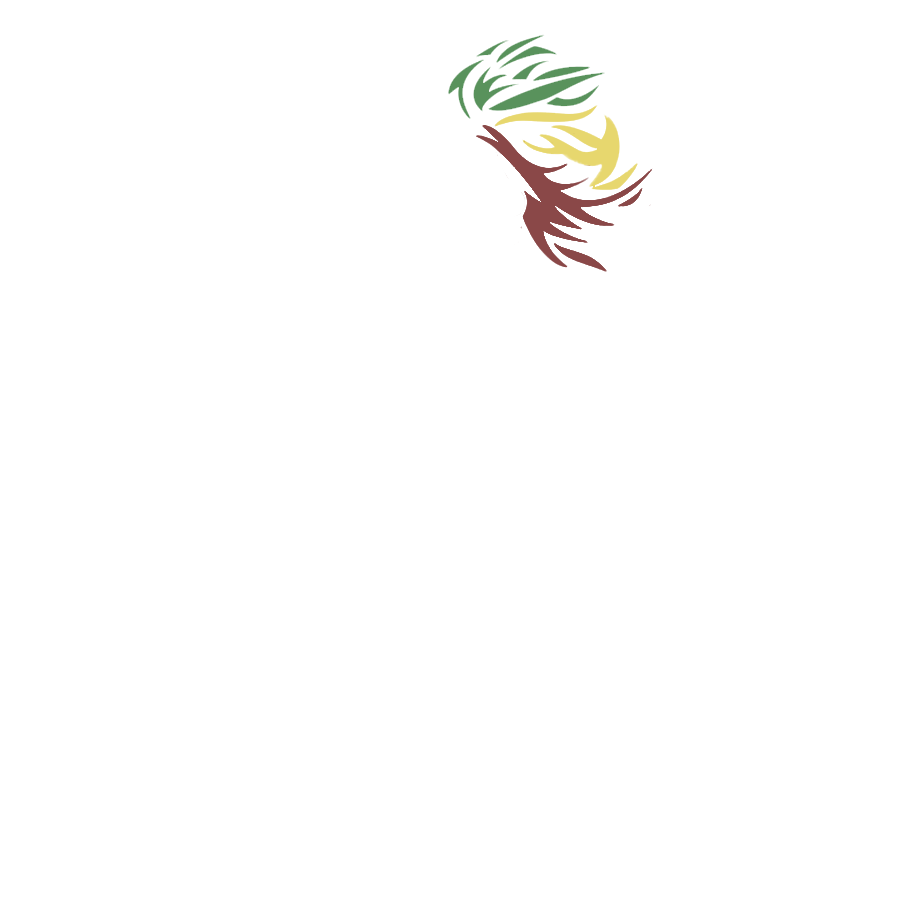 株式会社S.one-yard