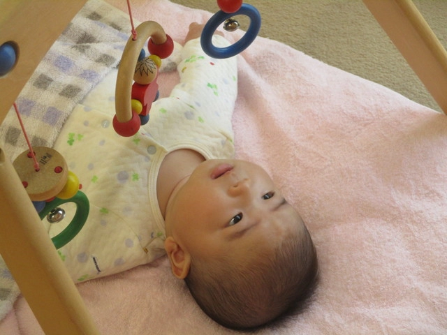 <12月>自由遊び <12月>自由遊び