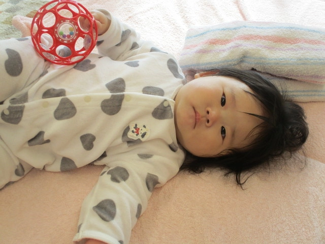 <12月>自由遊び <12月>自由遊び