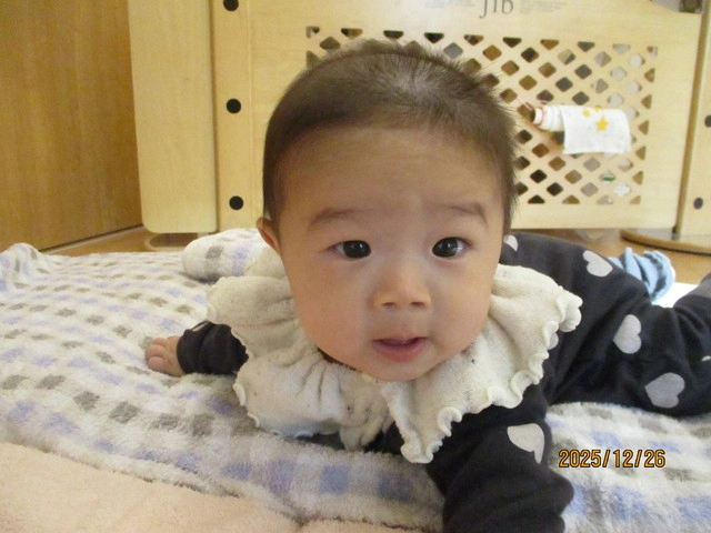 <12月>自由遊び <12月>自由遊び