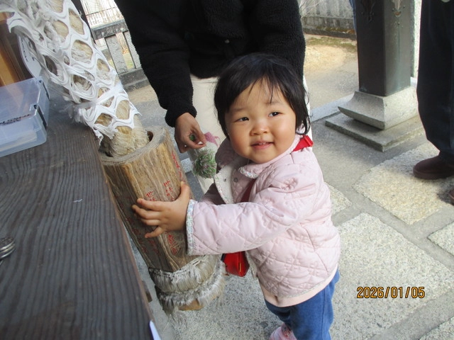 <1月>初詣 <1月>初詣