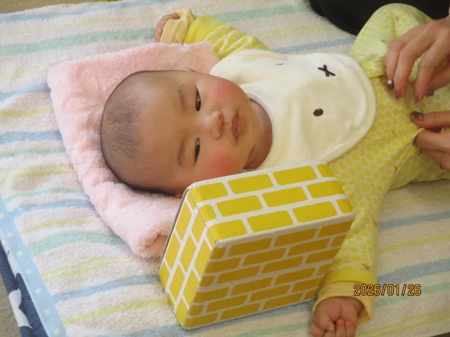 <1月>ダンボールブロックで遊ぼう5 <1月>ダンボールブロックで遊ぼう5