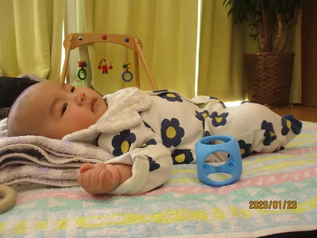 <1月>お部屋の様子1 <1月>お部屋の様子1