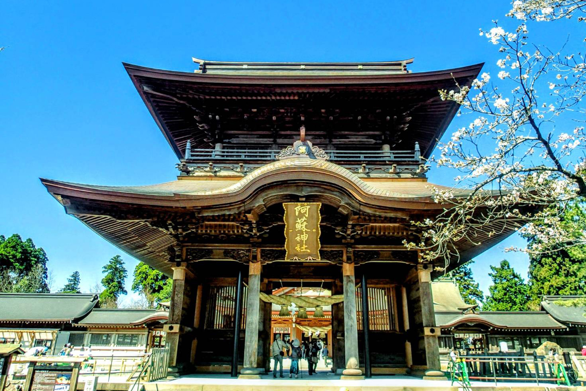 月影堂イメージ画像