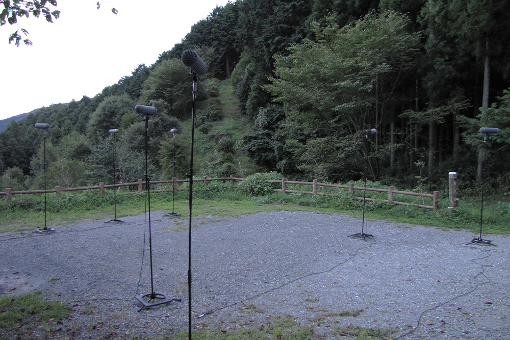 秋の虫の音風景