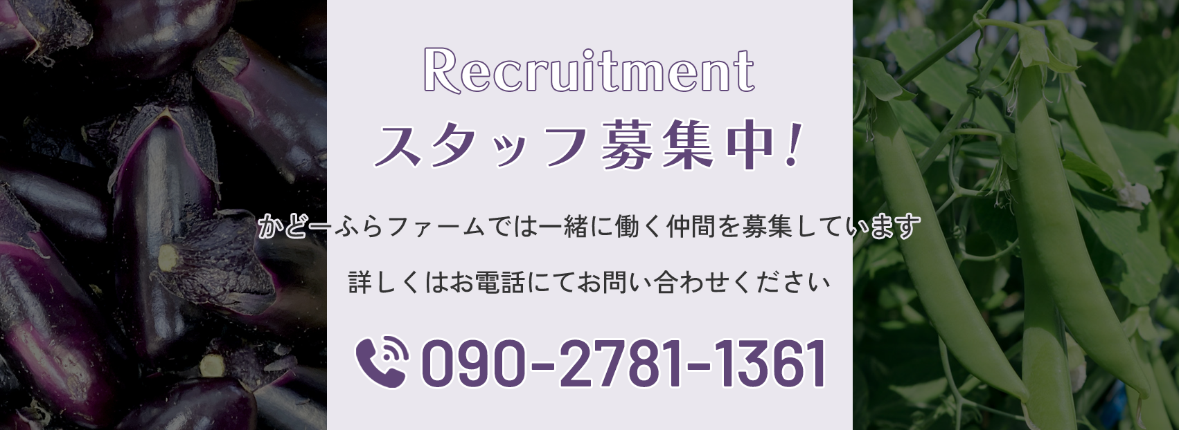 スタッフ募集中