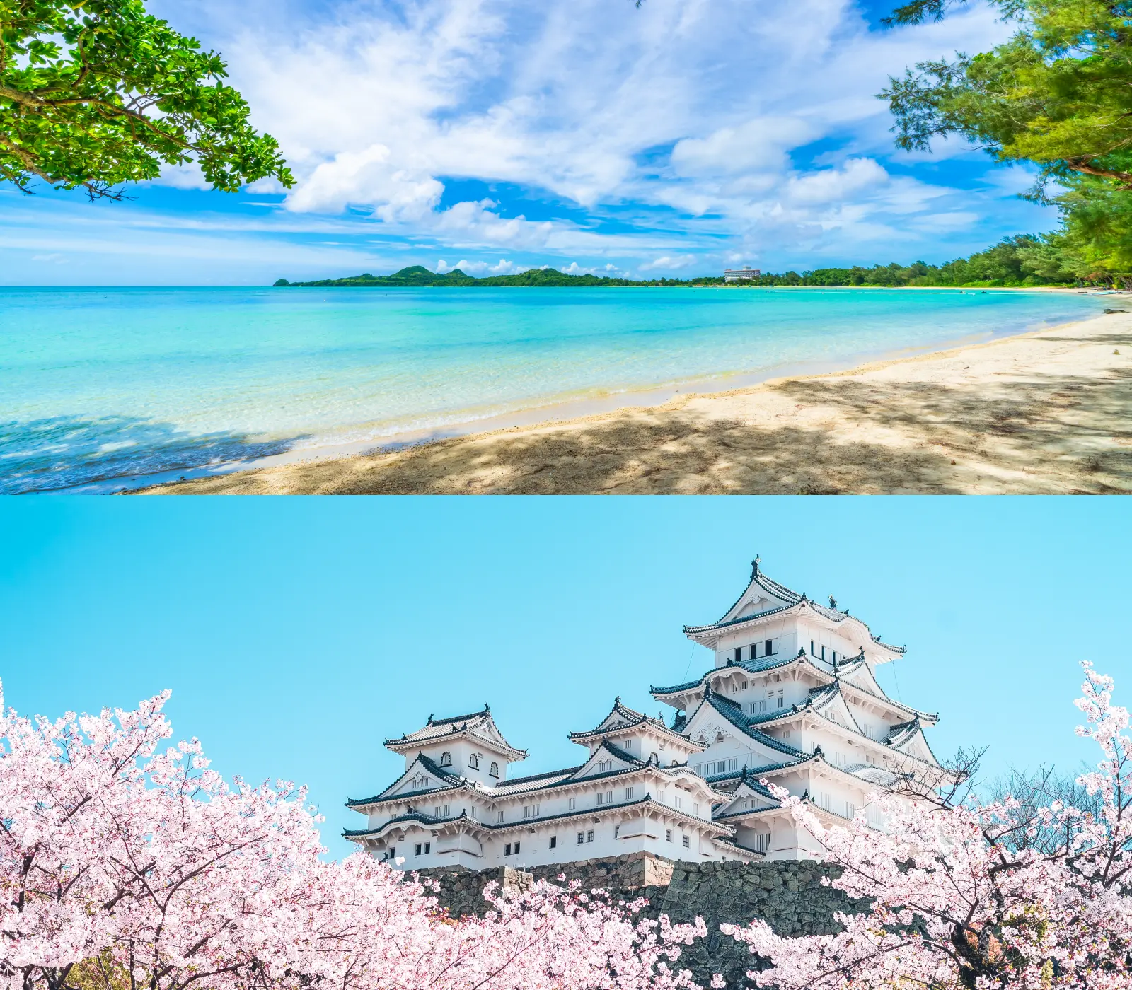 株式会社オフィス伊藤イメージ画像