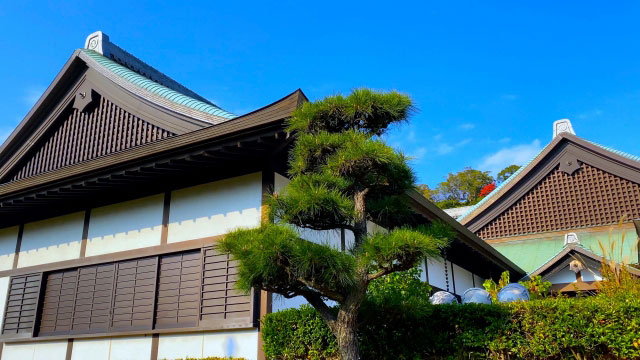 徳島市立徳島城博物館